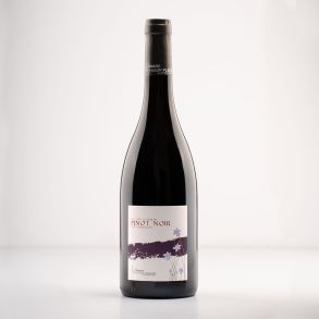 2023 Bourgogne Pinot Noir Domaine de Champ-Fleury